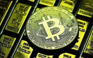 狗狗币能涨到多少(狗狗币还能涨多少)